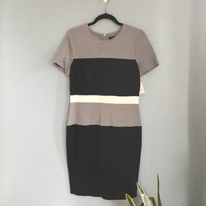 NWT French Connection Color Block Stretch Dress 10